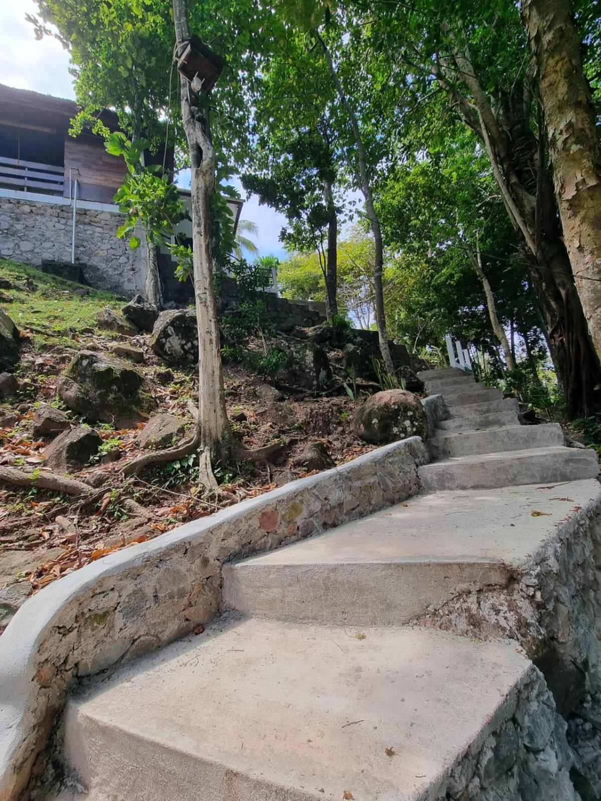 Treetop Guesthouse And Bungalows Sabang  Ngoại thất bức ảnh