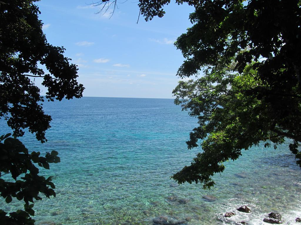 Treetop Guesthouse And Bungalows Sabang  Ngoại thất bức ảnh